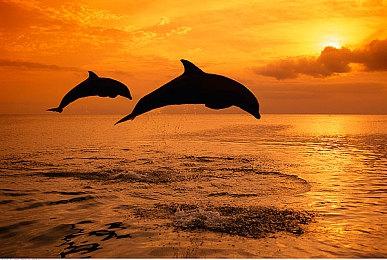 《暗黑破坏神4》“真补丁”正在制作中 或将停机更新